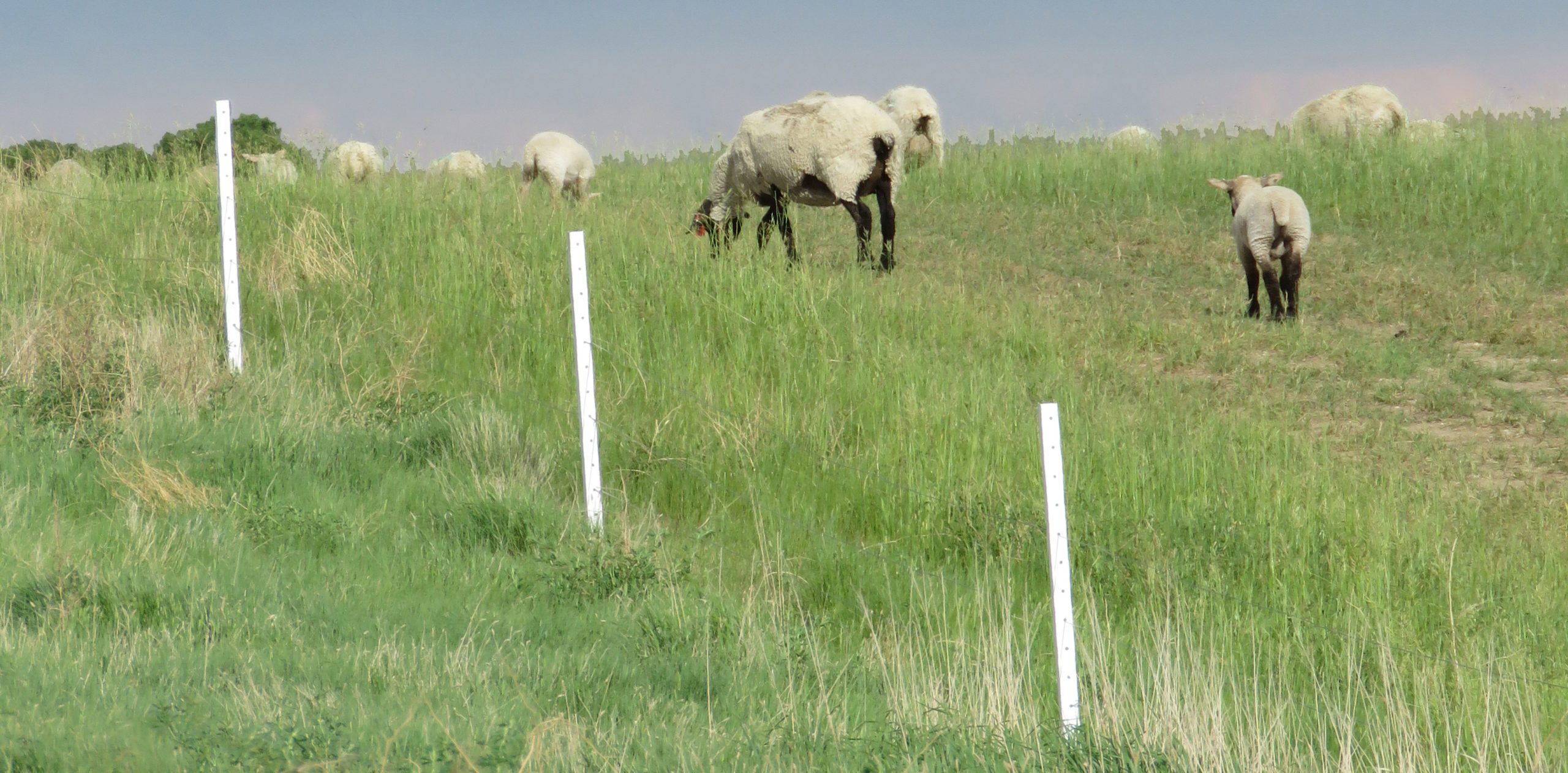 Timeless Fence System