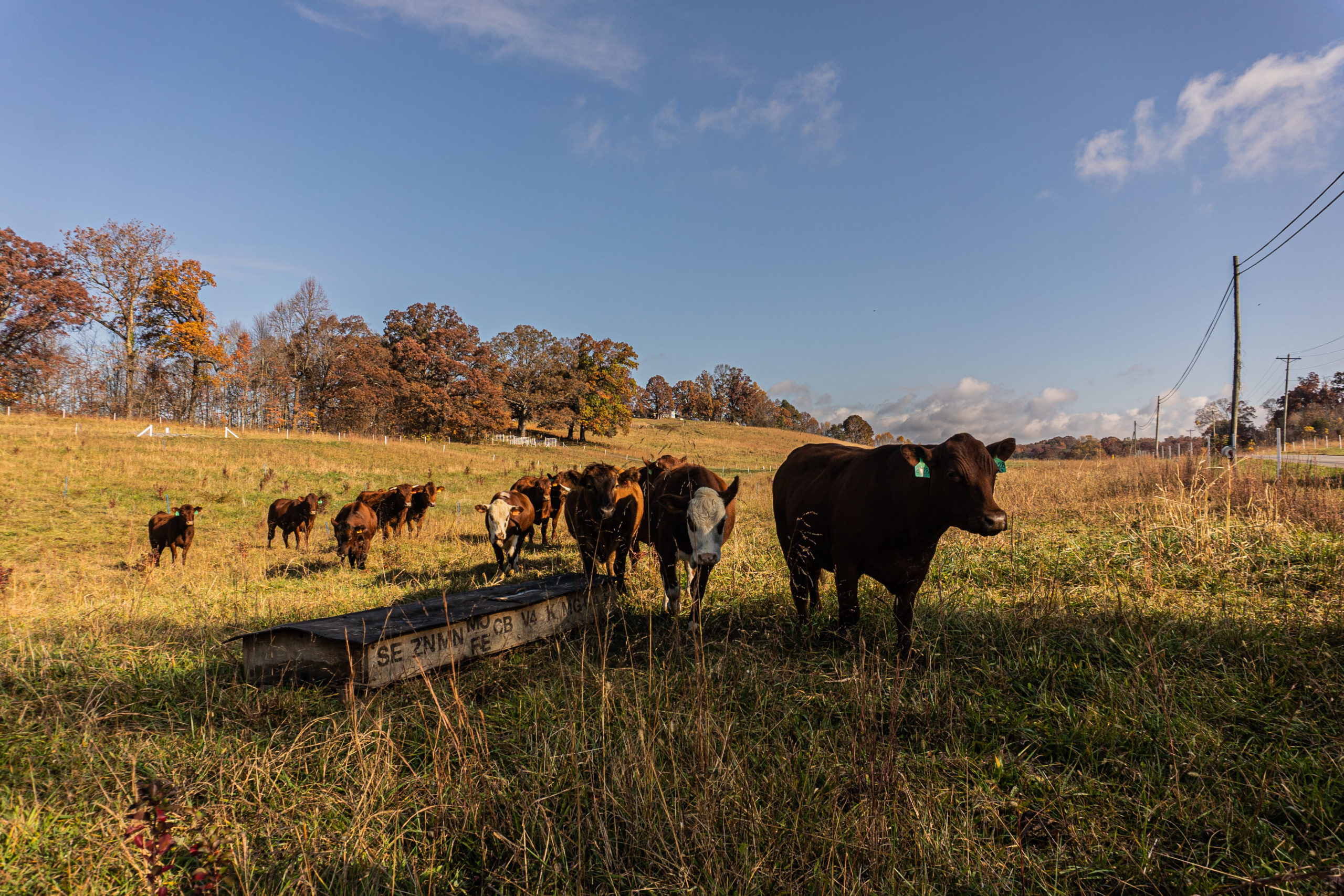 HIGHPLAINS Ranch Post by FenceTrac (Lifetime Warranty)