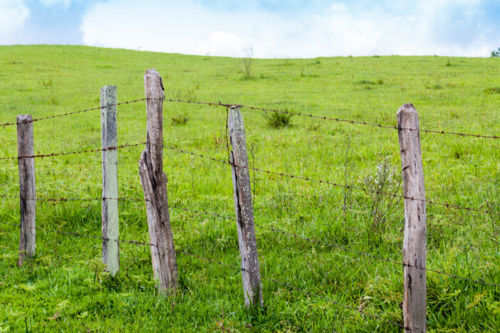 Timeless Fence System | Upgrade Your Electric Fence