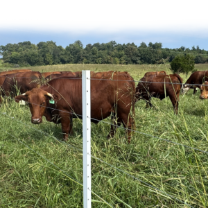 10 Acre Post & Accessory Bundle